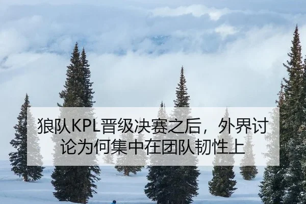 狼队KPL晋级决赛之后，外界讨论为何集中在团队韧性上